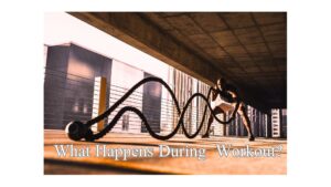Add a subheading What Happnes During Workout?