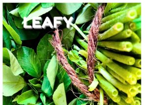 Leafy Vegetables Leafy Vegetables