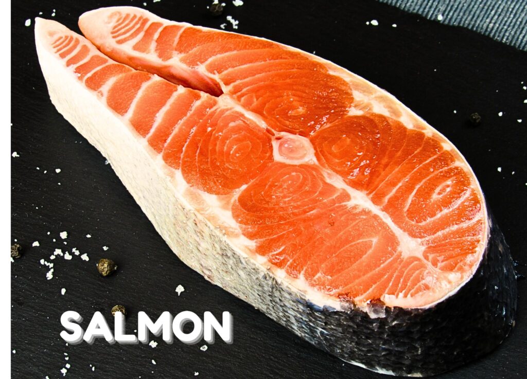 Salmon Fish