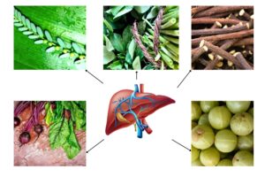 Liver Foods
